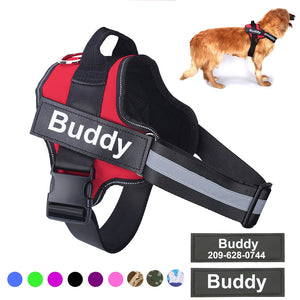 Personalized Reflective Breathable Adjustable Pet Harness