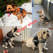 Load image into Gallery viewer, Personalized Reflective Breathable Adjustable Pet Harness
