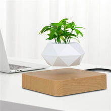 Load image into Gallery viewer, Magnetic  Suspension Floating Pot Potted Plant
