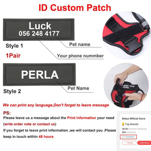 Personalized Reflective Breathable Adjustable Pet Harness