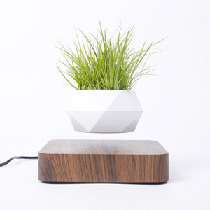 Magnetic  Suspension Floating Pot Potted Plant