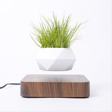 Load image into Gallery viewer, Magnetic  Suspension Floating Pot Potted Plant
