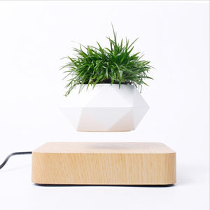 Magnetic  Suspension Floating Pot Potted Plant